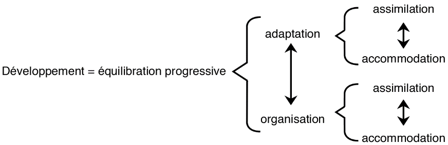 image6.png