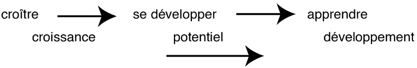 image7.png