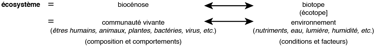 image16.png