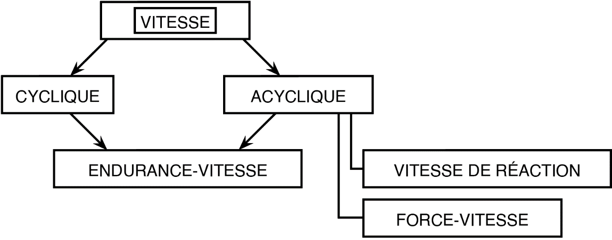 image5.png